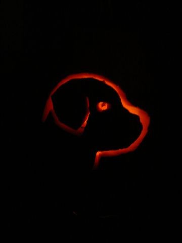 Abby's Pumpkin 4.JPG